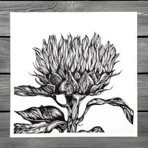 Sunflower Illustration, Original Art Giclée Print